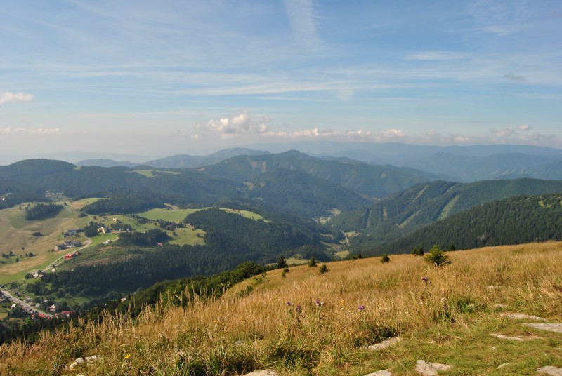 pepajs.cz